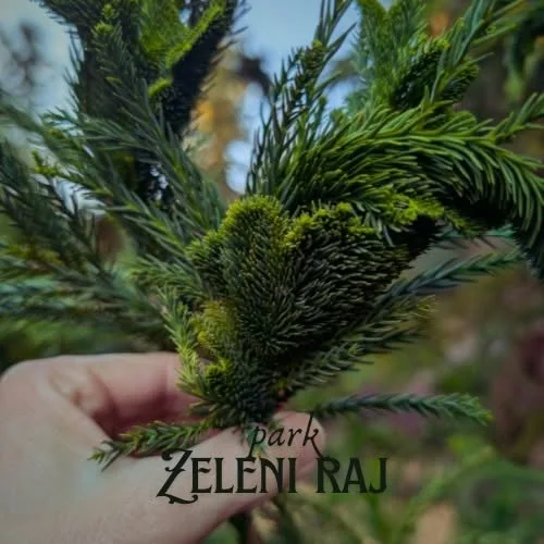 Park Zeleni raj